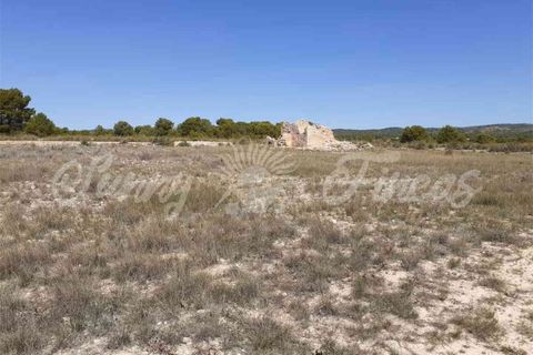 Ruinere i Yecla, Murcia, Yecla - € 19.000 | Ref: SF0406 - foto 5
